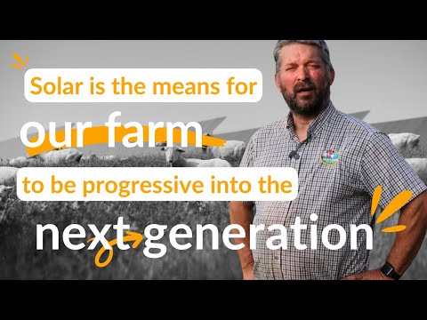 Sheep farmer on solar grazing opportunities | Voices from Honeysuckle Solar
