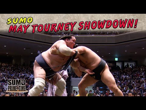 SUMO STARS SHINE IN BIG MOMENT