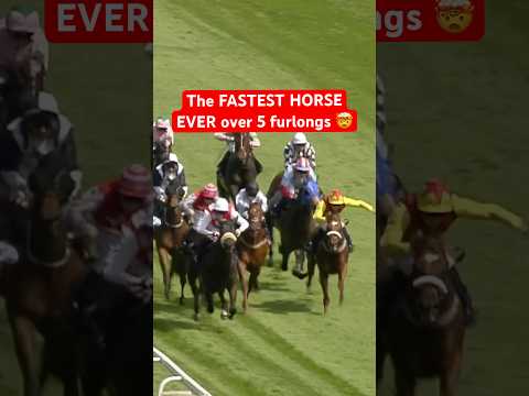 THE FASTEST HORSE EVER OVER FIVE FURLONGS 😮🚀 #horse #epsomdowns #horserace #horseracing